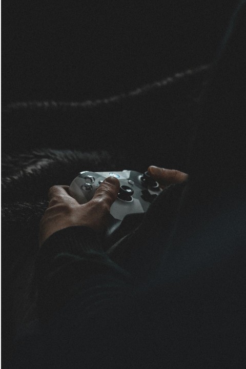 Animation Loop Preview